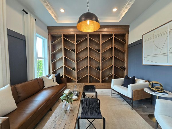 Tout savoir sur le store à projection : style et protection