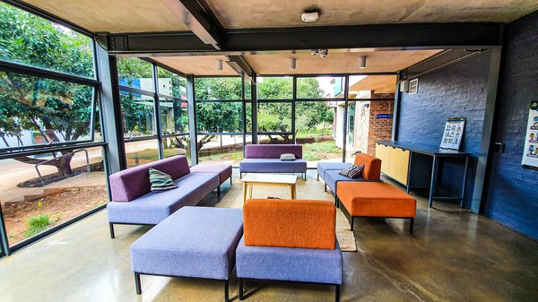 Comment éliminer efficacement les punaises de lit chez soi ?